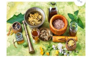 गुरला में नया आर्युवेदिक चिकित्सालय खोलने की मांग 4 a foto 1