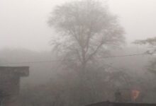 IMG 20260101 WA0003