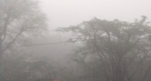 IMG 20260101 WA0004