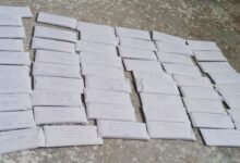 लांबिया स्टेशन–शाहपुरा मार्ग को स्टेट हाईवे बनाने की मांग तेज, संकरी सड़क बनी हादसों का कारण 5 IMG 20260104 WA0028