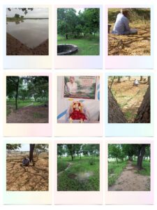 एक व्यक्ति, जिसने बंजर ज़मीन को वन बना दिया 5 WhatsApp Image 2026 01 07 at 6.39.32 PM
