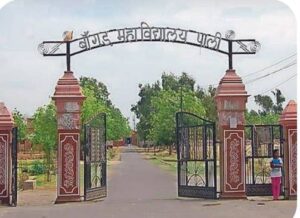 श्री विश्वकर्मा जांगिड़ समाज का मैत्री क्रिकेट मेच रविवार को सुबह 10:00 बजे से 4 WhatsApp Image 2026 01 10 at 3.26.05 PM