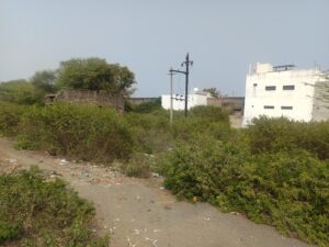 IMG 20260201 WA0038