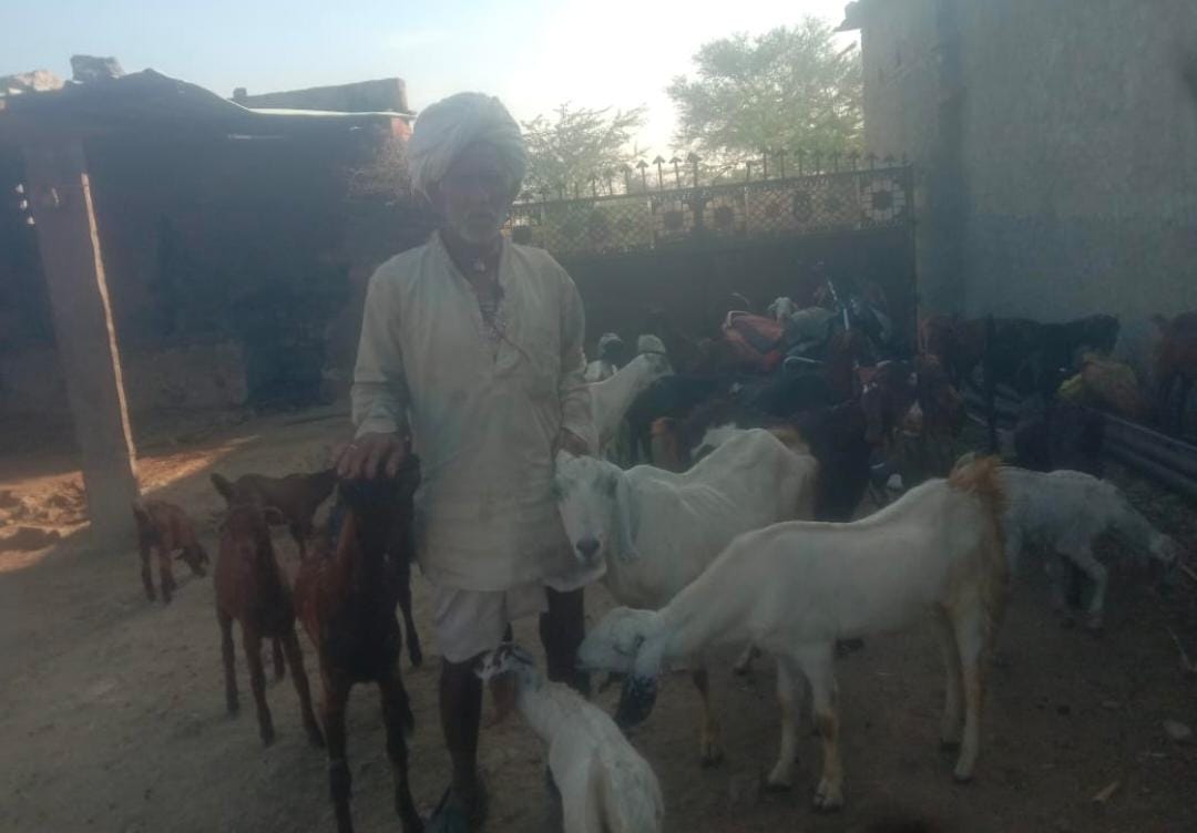 बेखौफ चोरों का आतंक , बाड़े का ताला तोड़ 37 बकरियां ले उड़े चोर पशुपालकों में दहशत 1 WhatsApp Image 2026 02 10 at 9.42.30 PM