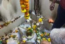WhatsApp Image 2026 02 15 at 11.31.53 AM 1