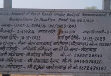 WhatsApp Image 2026 02 17 at 1.29.55 PM