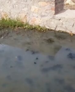 नाली बंद, गंदगी सड़क पर… जिम्मेदार बेपरवाह! सुमेरपुर के वार्ड-3 में हालात बेकाबू, बीमारी का खतरा बढ़ा 2 WhatsApp Image 2026 03 19 at 12.35.00 PM
