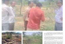 गोचर जमीन पर ‘खेल’ का बड़ा खुलासा: बामनेरा में अवैध प्लॉटिंग-नीलामी के आरोप, सरपंच पर निलंबन की सिफारिश 5 WhatsApp Image 2026 04 08 at 7.23.29 PM