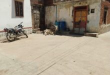 बीमार गाय को समय पर पहुंचाया अस्पताल, पार्षद व वार्डवासियों की तत्परता सराहनीय 6 WhatsApp Image 2026 04 14 at 1.28.08 PM