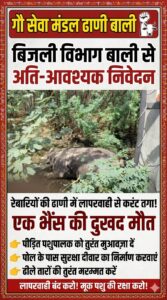 बिजली विभाग की लापरवाही से भैंस की मौत, ग्रामीणों में रोष 5 IMG 20260515 WA0028
