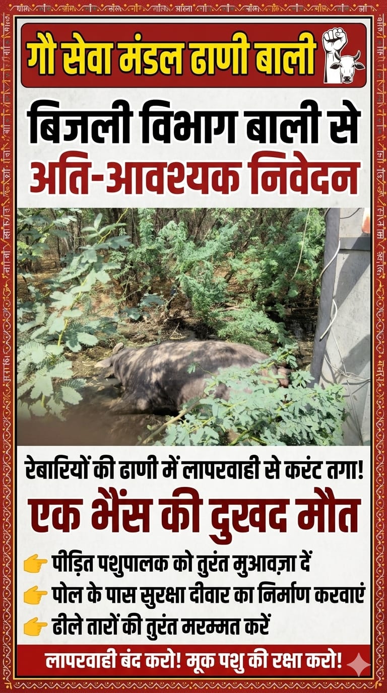 बिजली विभाग की लापरवाही से भैंस की मौत, ग्रामीणों में रोष 1 IMG 20260515 WA0028