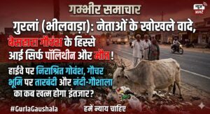 बेसहारा गोवंश की बदहाली, हाईवे बना मौत का रास्ता 4 IMG 20260518 WA0025