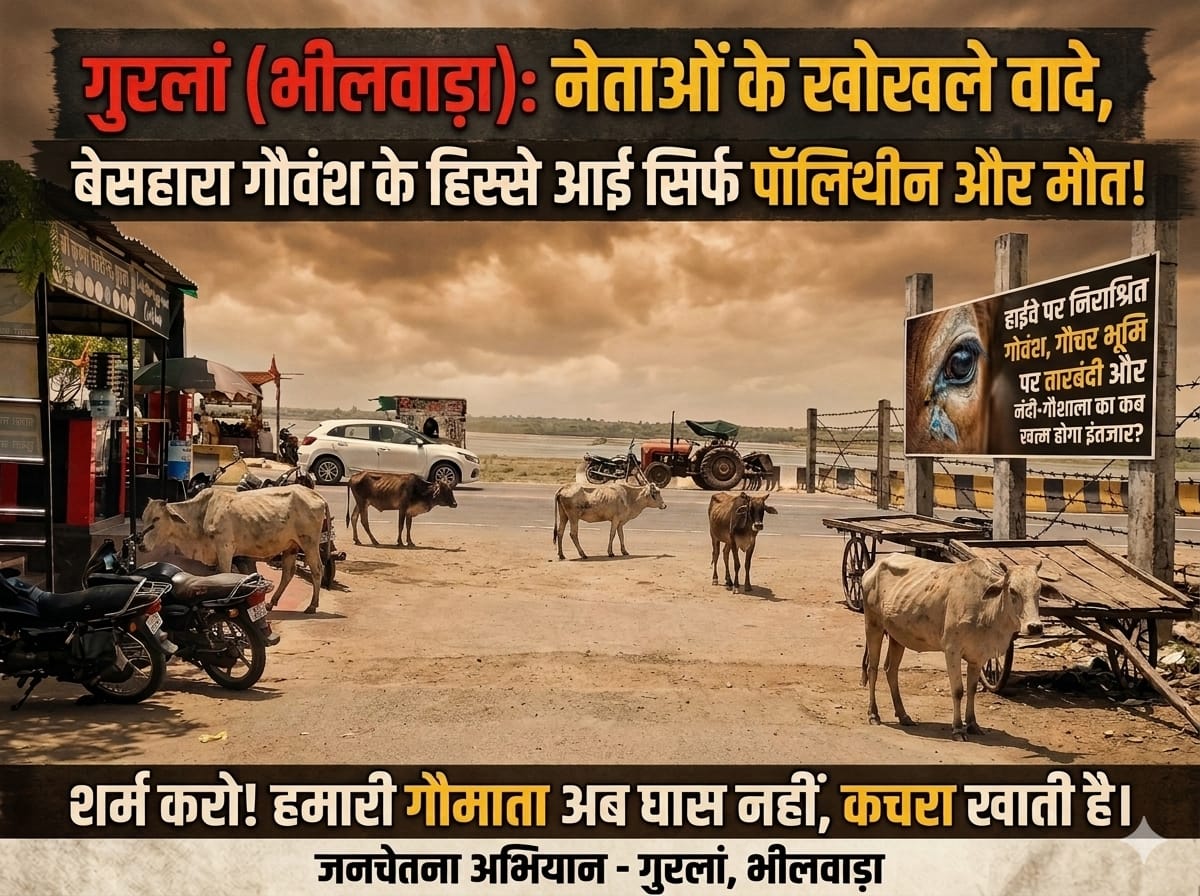 बेसहारा गोवंश की बदहाली, हाईवे बना मौत का रास्ता 1 IMG 20260518 WA0026