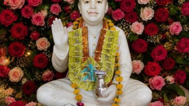 पाली में सांई ओमलाल साहिब की मूर्ति स्थापना, सिंधी समाज में उमड़ा श्रद्धा और उल्लास का सैलाब 16 WhatsApp Image 2026 05 08 at 7.58.09 PM