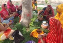 निर्जला एकादशी पर विजय अक्षरवन, कोलीवाड़ा में उमड़ी आस्था, श्रद्धालुओं ने कल्पवृक्ष की पूजा-अर्चना कर गाए भजन-कीर्तन 8 IMG 20260626 WA0033