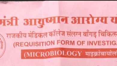 WhatsApp Image 2026 06 11 at 12.18.31 PM