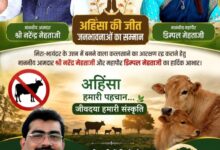 WhatsApp Image 2026 07 11 at 3.24.28 PM