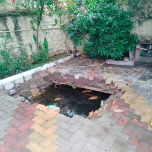 WhatsApp Image 2026 08 03 at 6.14.50 PM