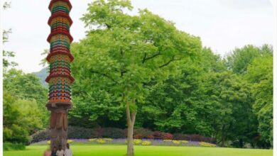 WhatsApp Image 2026 08 06 at 7.58.05 PM