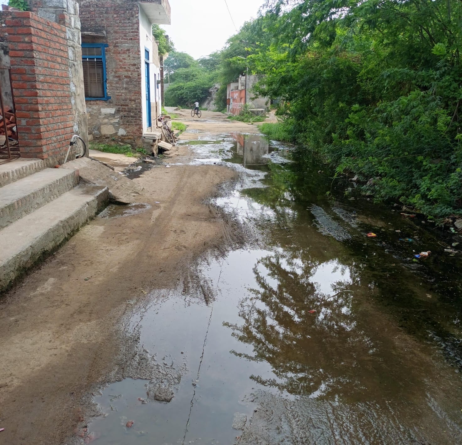 पंचायत कोठार मै जवाई जल परियोजना के तहत तोड़ी सड़क, वह नालिया नहीं होने से ग्रामीण परेशान 3साल मरमत तक नहीं 1 WhatsApp Image 2026 08 07 at 9.42.39 AM