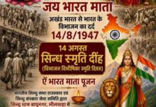 WhatsApp Image 2026 08 12 at 10.11.52 AM
