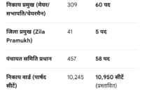WhatsApp Image 2026 08 12 at 12.18.11 PM