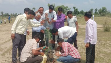 सरदारनगर में पर्यावरण महोत्सव आयोजित, युवाओं से पर्यावरण संरक्षण के लिए आगे आने का आह्वान 14 IMG 20260913 WA0035