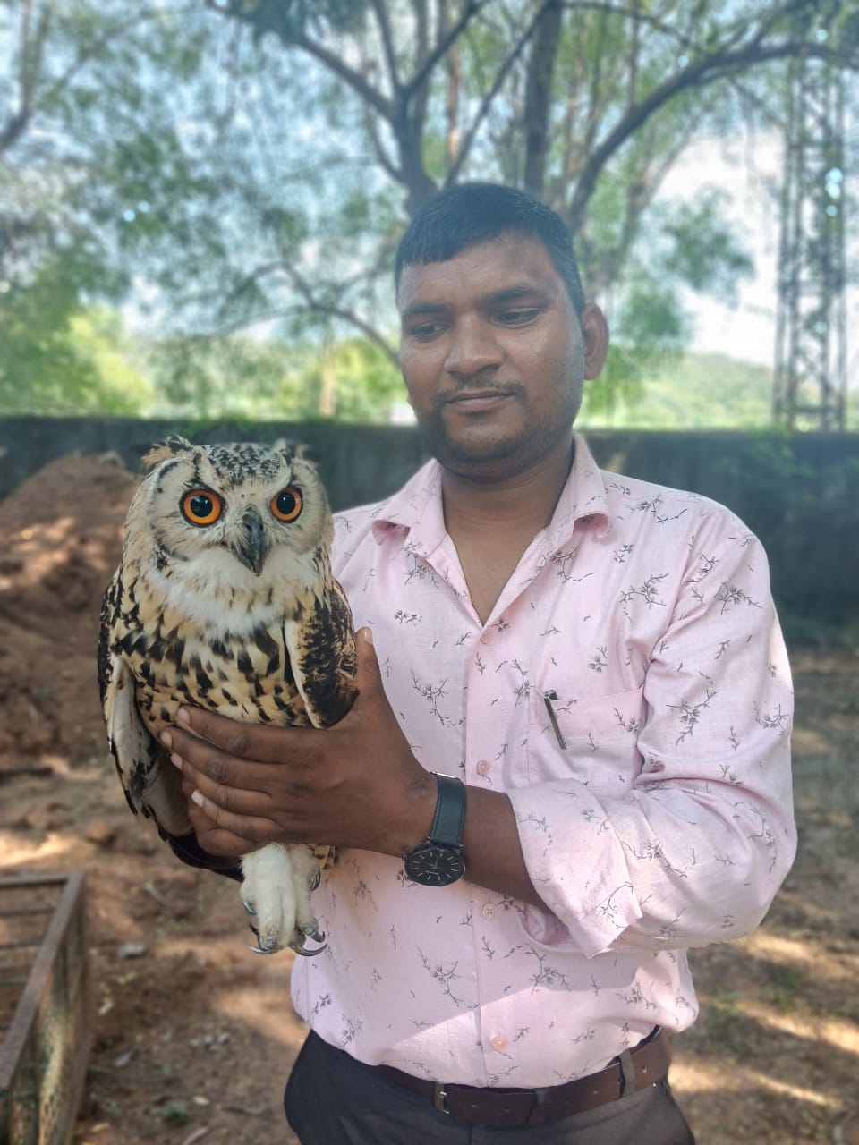 गुरला में घायल उल्लू का वन विभाग ने किया सफल रेस्क्यू 1 WhatsApp Image 2026 09 23 at 6.06.33 PM