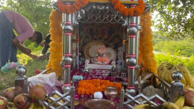जलझूलनी एकादशी पर चारभुजा नाथ की भव्य शोभायात्रा 14 WhatsApp Image 2026 09 23 at 6.07.35 PM