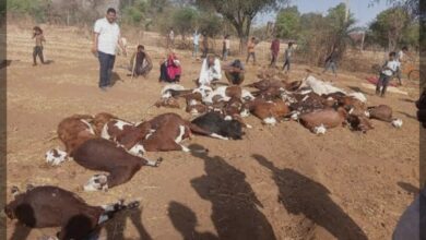 जल संकट के चलते बाली जैन स्नेह मिलन समारोह स्थगित 17 WhatsApp Image 2026 10 02 at 10.08.20 PM 1